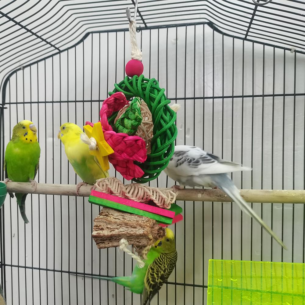Vine Global Five-Pointed Star Bird Toy Colorful Dried Fruit Wood Block Hot Selling Cross-Border Pet Toy