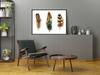 Picture poster In a frame 43x33 cm Feathers P935