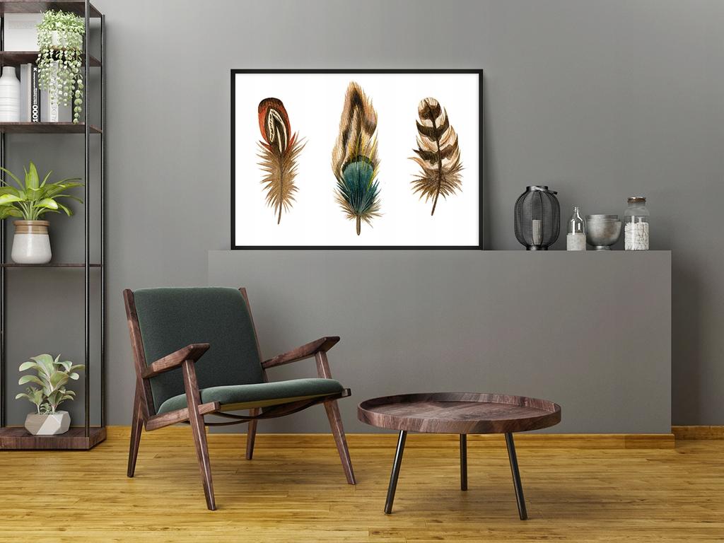Picture poster In a frame 43x33 cm Feathers P935