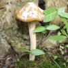 4PCS Realistic Pottery Sculpture Mini Garden Landscape Statue Fairy Mushroom  Flower Pot Decoration