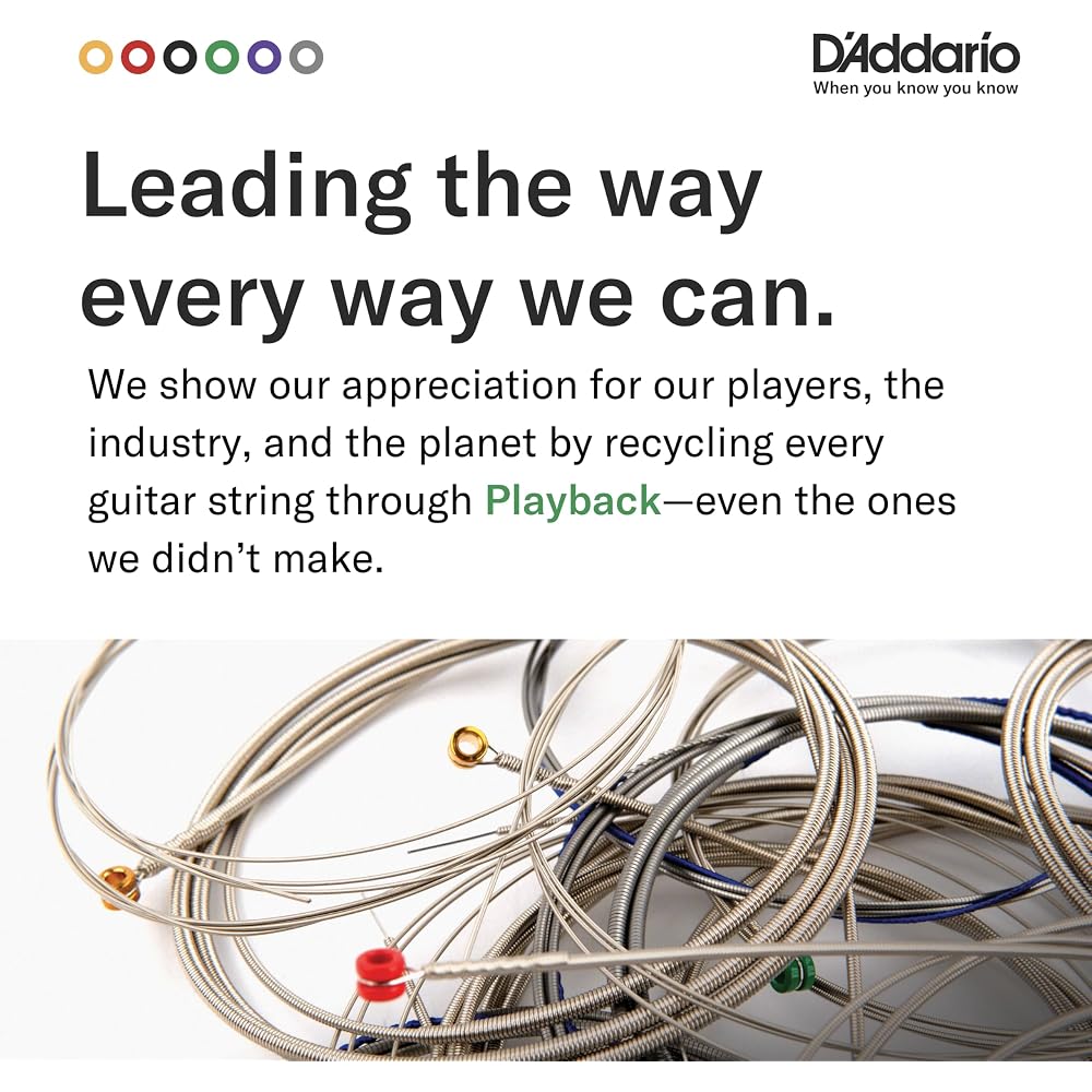 D'Addario Daddario Acoustic Guitar Strings Phosphor Bronze .009-.045 12 Strings Light EJ41 [Domes...
