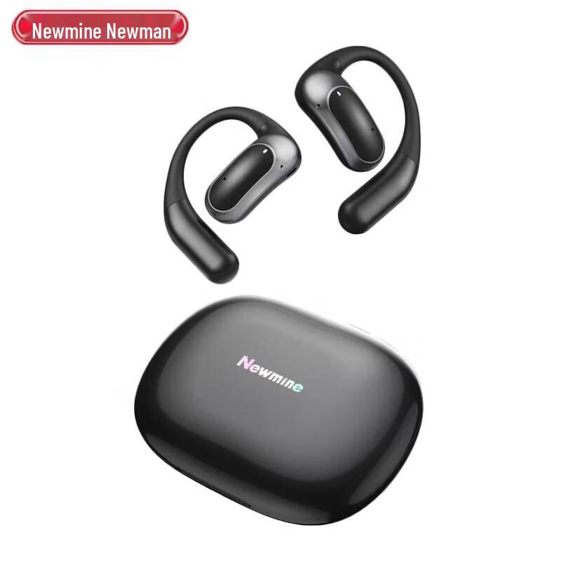 Newmine LY50 Professional Translation Bluetooth Earbuds