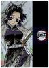 Demon Kimetsu No Yaiba Clear File 24 Shinobu Kocho Slayer Eye-Catch