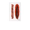 Eyeball Bloody Makeup Bruise Scab Scar Tattoo Sticker Body Art Scar Decals  Photo Props