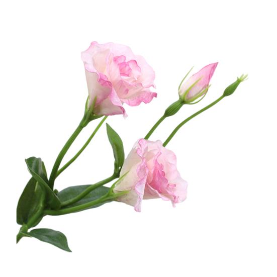 Искусственный цветок Платикодон крупноцветковый с 2 головками цветов и 1 бутоном, искусственный шелковый цветок со стеблем и листьями для свадебной вечеринки, кухни, спальни, детской