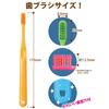 Ci Medical PRO PLUS Spiral Toothbrush (M Regular) 10 Pieces Dental Exclusive Product