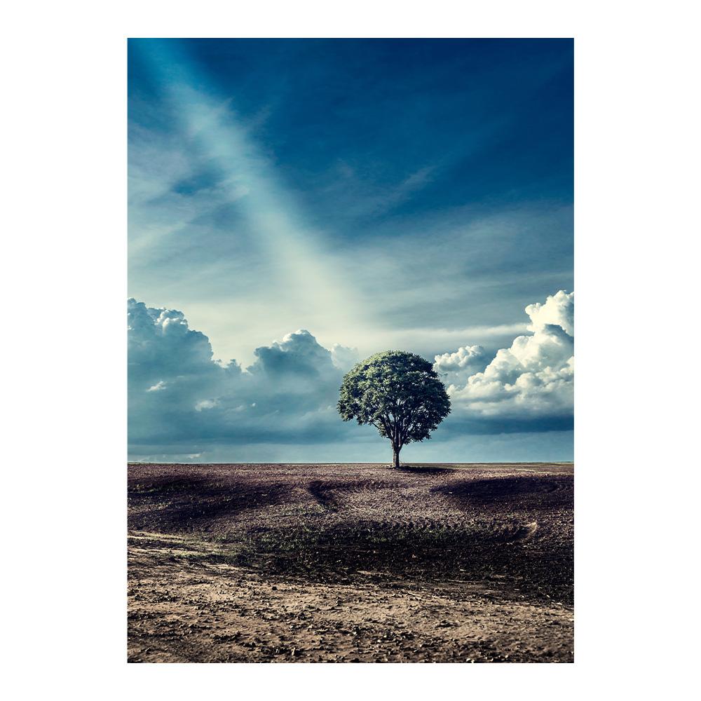 Scandinavian Minimalist Landscape Wall Art Blue Whale Tail Sea Canvas Oil Painting Poster Prints Home Bedroom Living Room Decoration