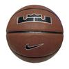 Lebron James All Court Basketball