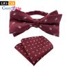 Two-piece Suit Paisley Bow Tie And Pocket Squares Handkerchief