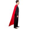 Superman Unisex Adult Movie Cape