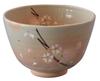 Kyoto Kiyomizu Seki Matcha Kohiki Ware, Ware, Kiln, Bowl, Sakura, K1-8