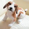 25/30cm Simulation Dog Plush Toy Creative Realistic Animal Puppy Dolls Squatting Shiba Inu Rottweiler Stuffed Soft Birthday Gift