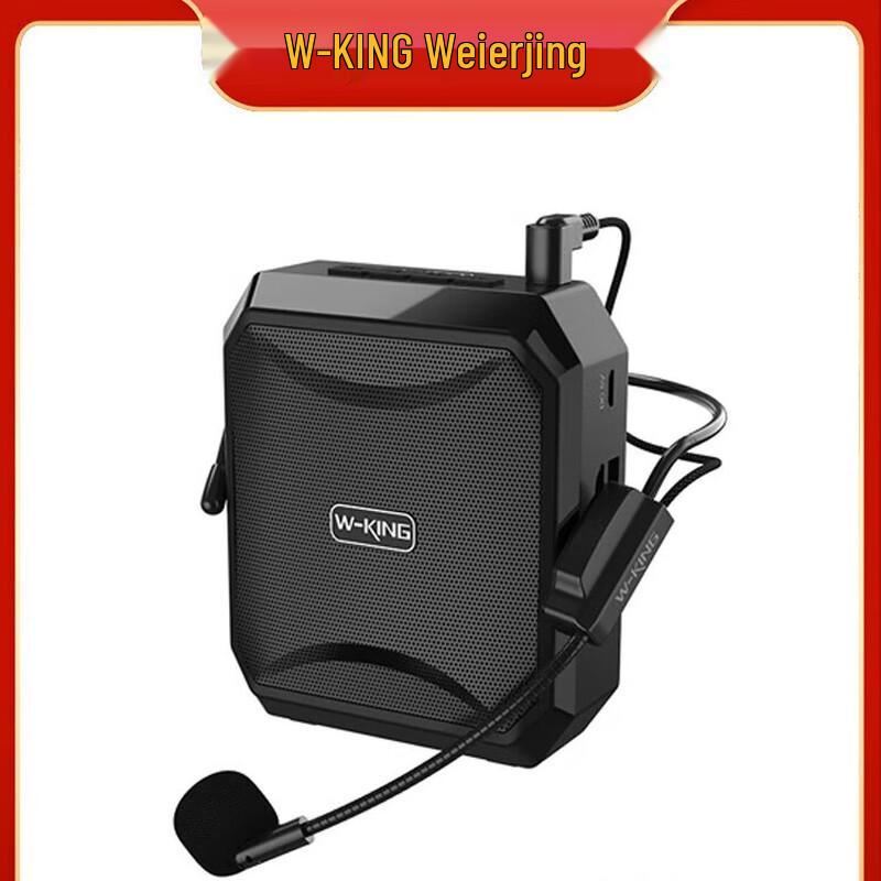 W-King KS01 Portable Voice Amplifier