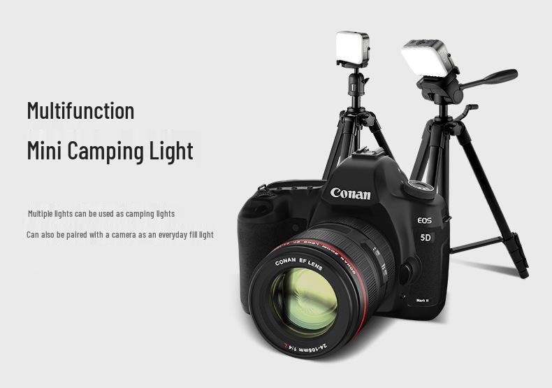Portable Outdoor Camping and Work Light