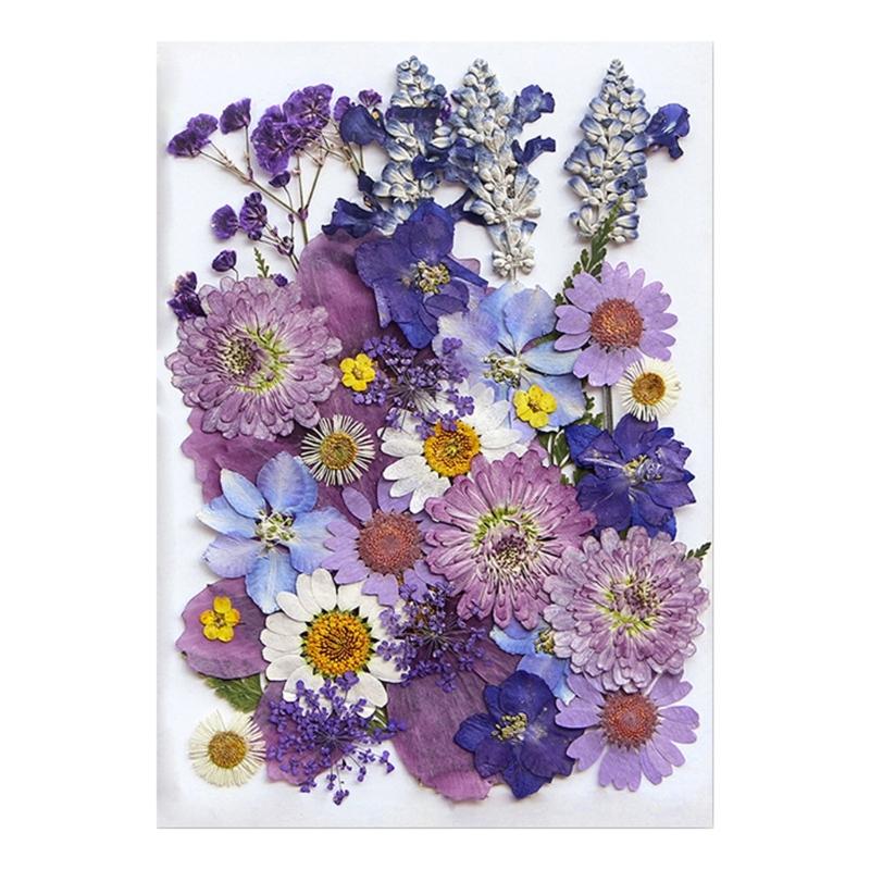 Colorful Real Dry Herbs Set Assorted Dried Flower Bundle Pressed Flower for Creative Scrapbook and Decors
