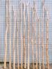 DIY Shaped Tree Decor: Dry Branches for Home & B&B, Living Room, Hotel, Kindergarten, Environmental Displays.