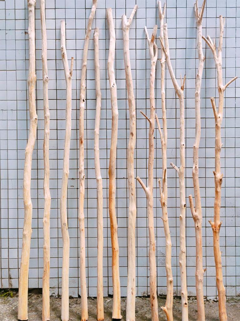DIY Shaped Tree Decor: Dry Branches for Home & B&B, Living Room, Hotel, Kindergarten, Environmental Displays.