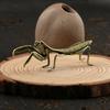 Vintage Brass Mantis Flowerpot - Decorative Craft Accessory for Tea Pets And Collectors