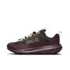 Nike ACG Mountain Fly 2 Low GORE-TEX Velvet Brown Men Sneakers HF6245-200
