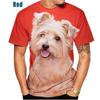 Cute Pet Dog Yorkshire Terrier 3D Printed Men's Summer Fashion Casual T-shirts Funny Round Neck Short Sleeve Tops
