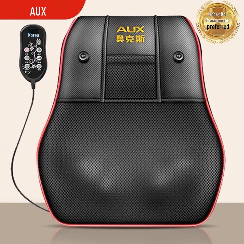 Aux Neck and Waist Massage Pillow