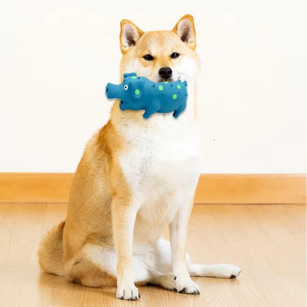 Z piszczałką lateksowe zabawki do gryzienia dla psów świnka piszcząca zabawka do ściskania dla psów piszcząca zabawka dla psów zabawy dla zwierząt domowych