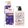 Shower Gel & Antibacterial Hand Soap Bundle