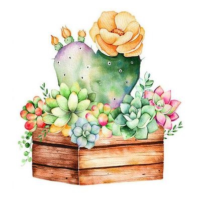 Practice Diamond-Painting Full Round 5D DIY Succulent Plants Embroidery Decors