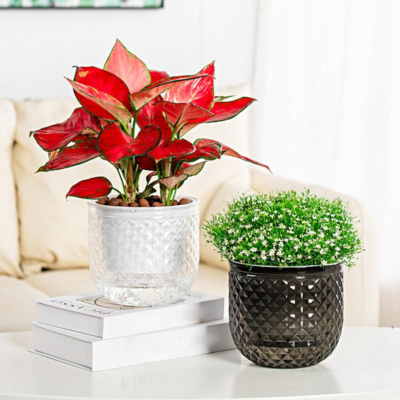 1 Stück Doppelschichtiger Kunststoff Mini Desktop Ornamente Topfpflanze Dekoratives Zubehör Blumenarrangement Einfarbig 3 Farben