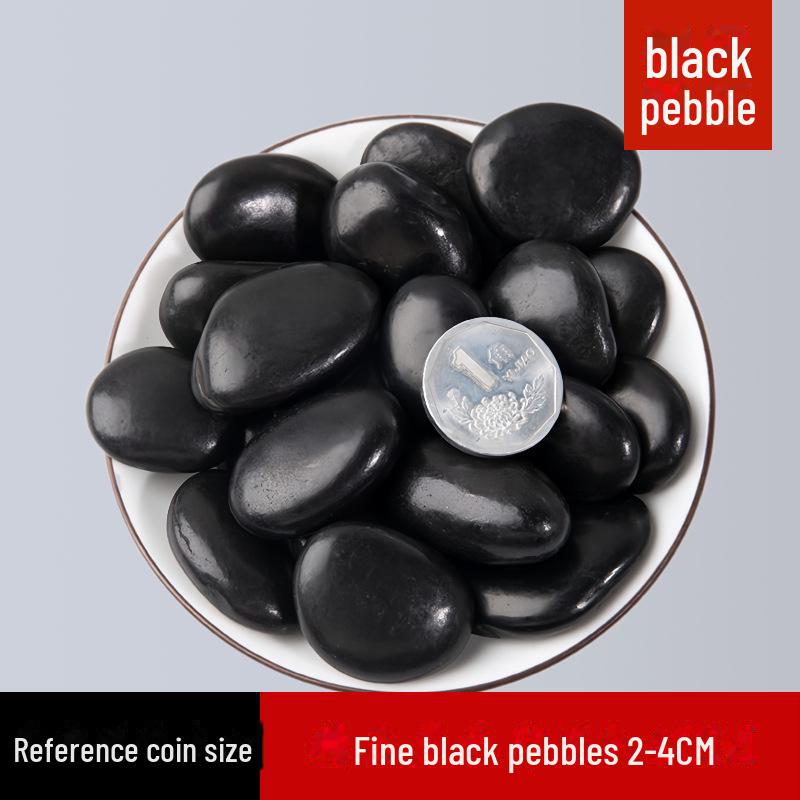 50 Catties Black Pebbles: Natural Rain Flower Stones for Courtyard and Garden Landscaping