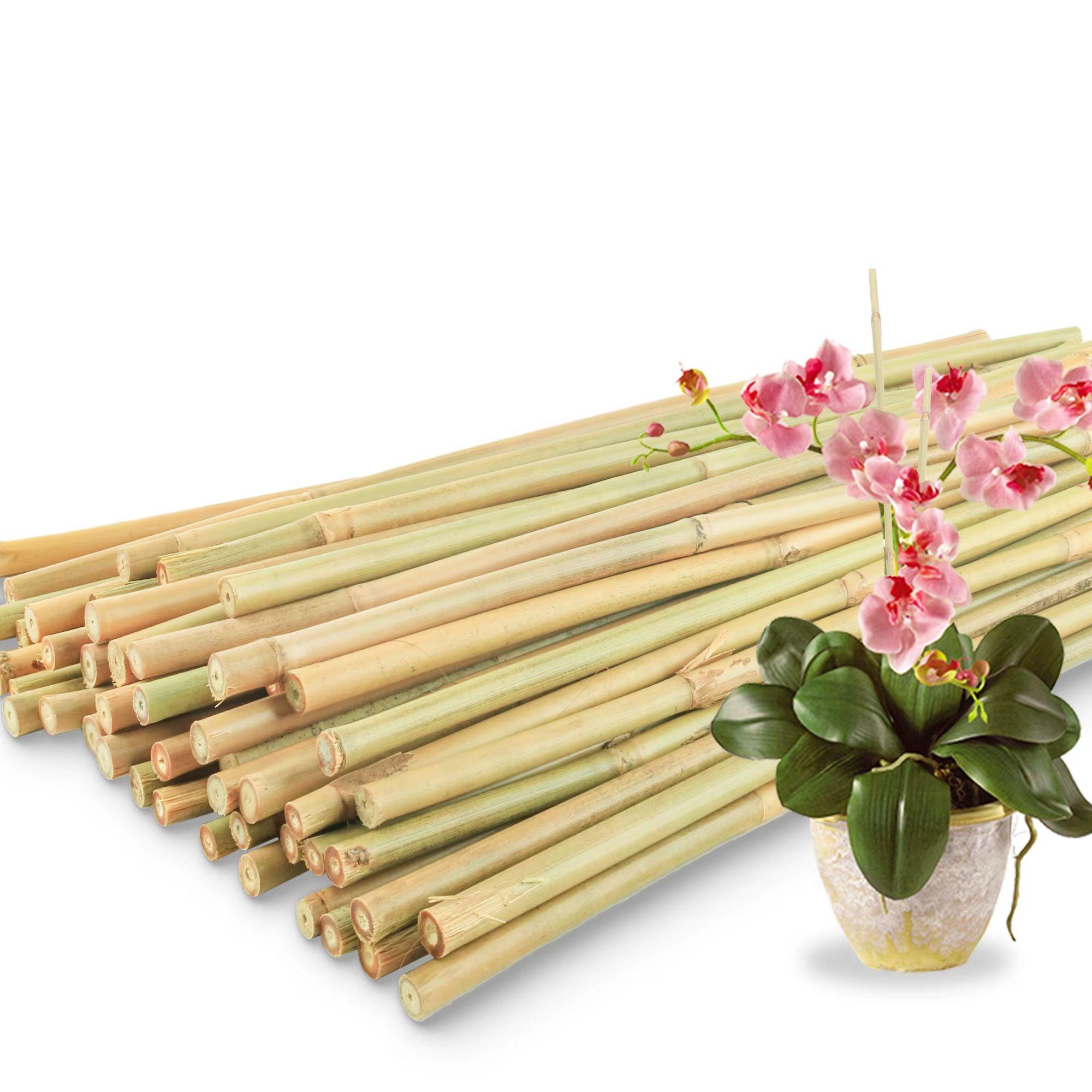 

50Pcs / 18 inch Bamboo Plant Stakes for Indoor Outdoor Plants, Garden Plant Support Sticks 50pcs светло-желтого