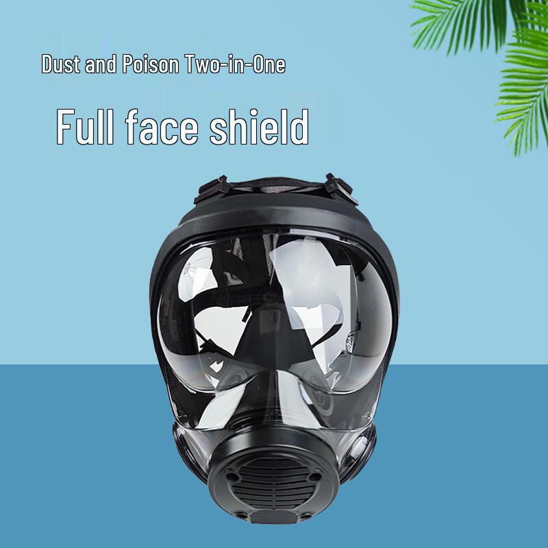 Longchan MF19 Full Face Respirator Mask