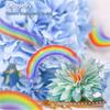 Costura e tricot – Scrapbooking