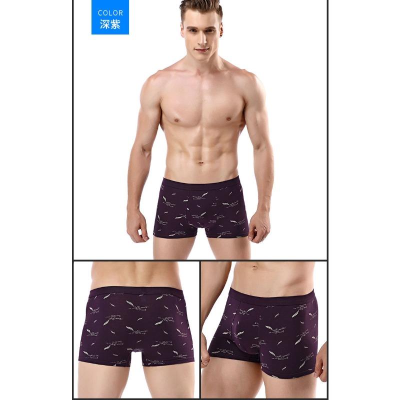Printed Cotton Mens 3d Boxer Briefs