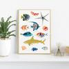 Sea Life Shells Tropical Fish Whale Posters and Prints Canvas Painting Wall Art Picture for Living Room Home Nautical Decor