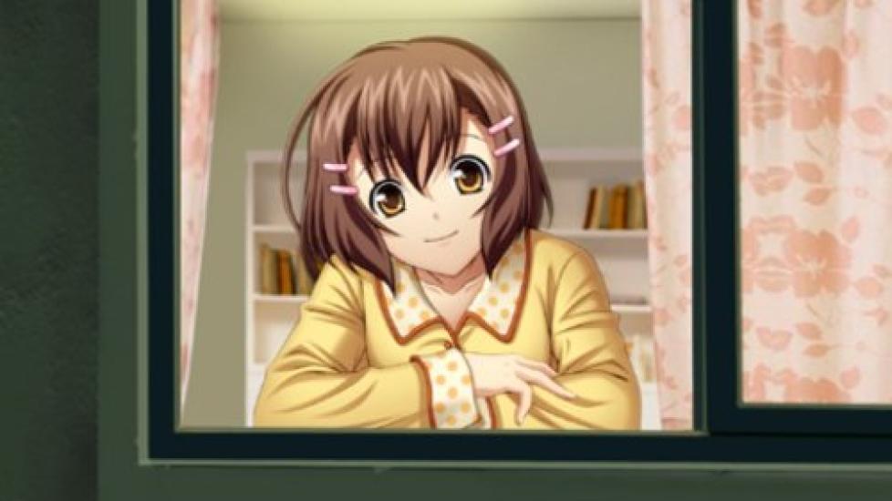 No the power of Baribari Yuho Pack Fate! -Only will- (Limited Edition)