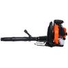 Leaf Blower, 80CC Backpack Gas Leaf Blower, Gas Blower, Up To 900CFM, Powerful Clearing, for Lawn Care Yard Dust Debris