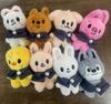 10cm Kpop Cartoon Stuffed Animal Plushies Stay Plush Doll Toys Kawaii Adults Fans Keychain Pendant Kid Gift Cuddly Fluffy Huggable Comfort Adorable