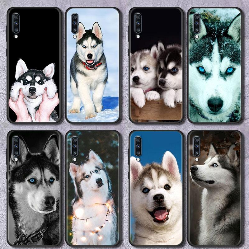 Alaskan Husky Dog Cute Puppy Phone Case for Samsung Galaxy A51 A71 A21S A12 A11 A31 A52 A41 A32 A72 A02S A01 5G Silicon Cover