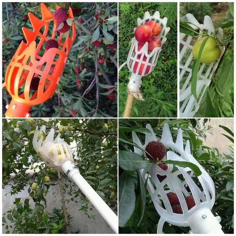 1/2pcs Fruit Picker Garden Hand Tool Plastic Catcher Picking Apple Bayberry Citrus Pear Peach Hand Tools Agriculture Accessories
