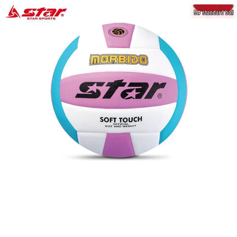 Star Size 5 Training Volleyball