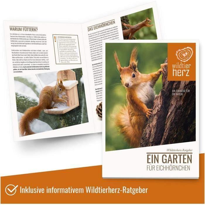 Mangeoire pour écureuils - Gorges - Bois massif - Résistante aux intempéries - Durable - Plexiglas