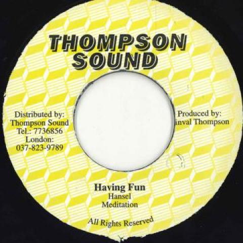 

7inch Record MEDITATIONS - Having Fun Thompson Sound 1977 Jamaica Reggae, Ska & Dub