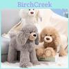 Teddy Dog Plush Toy With Long Fur For Kids And Adults Soft Pillow Gift