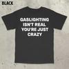 Gaslighting Isn't Real You're Just Crazy Shirt, Gaslighting Shirt, Satire Shirt, Stupid Meme Shirt, Embarrassing Shirt