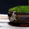 Plnter Hugger Hnging Mini Grden Sttues Flower Pot Figurine, Escultura de decoração para Tbletop Ptio Outside