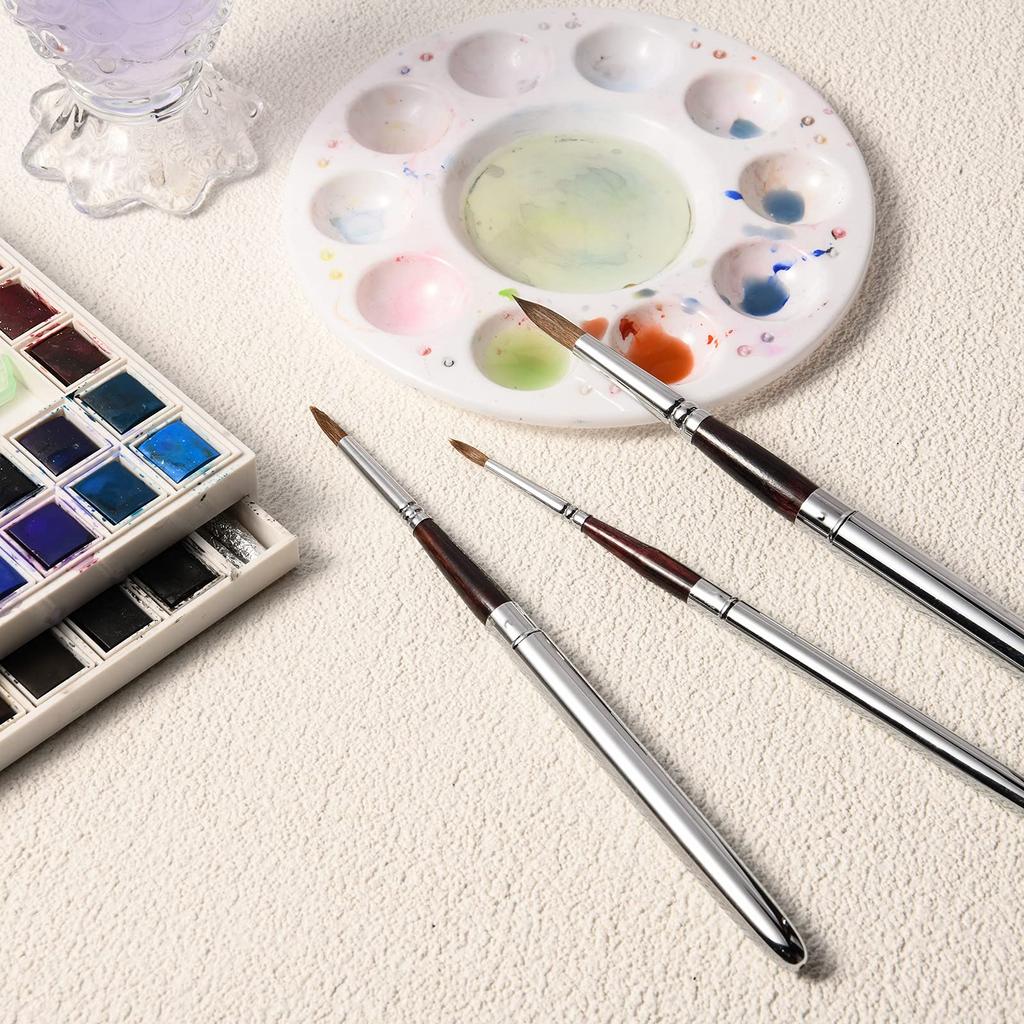 Kolinsky Travel Watercolor Brushes Sable Hair Round Watercolor Paint Brushes Set of 3 Portable Compact Artist Brushes with Pocket Protective Case for
