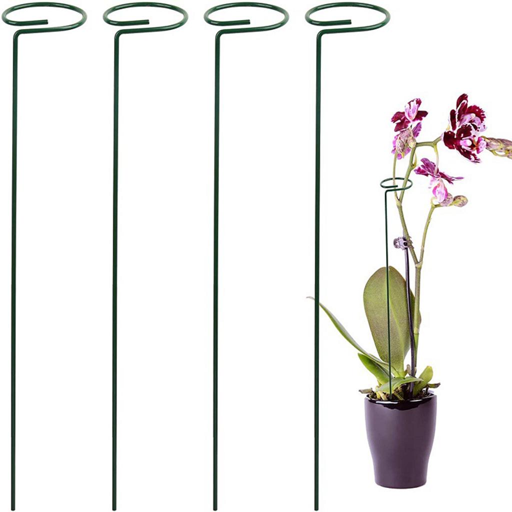 Plant Stake Metal Garden Plant Support Holder Tomatoes Peony Lily Rose Climbing