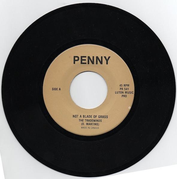 

7-дюймовая пластинка TRADE WINDS Not A Blade Of GrassNo Way PR541 Пенни Канада Регги Ска Даб Б/у