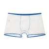 Men's Underwear Mesh Panties Breathable Briefs Sexy Light Boxer Underpants